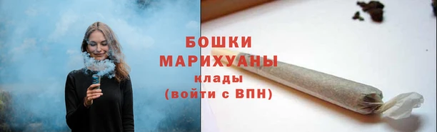 ПСИЛОЦИБИНОВЫЕ ГРИБЫ Алексин