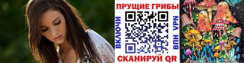 Галлюциногенные грибы GOLDEN TEACHER  ОМГ ОМГ ССЫЛКА  Староминская  где купить  